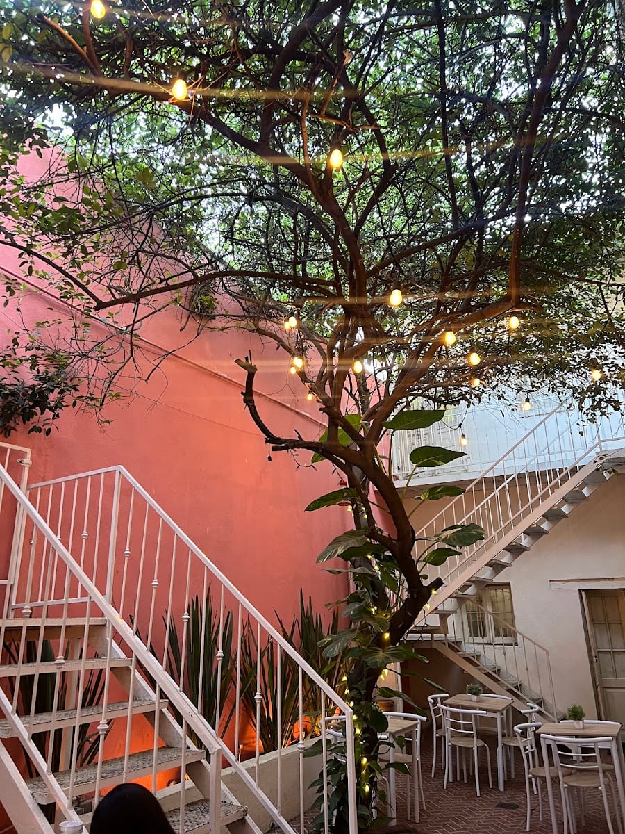 Casa Motis
