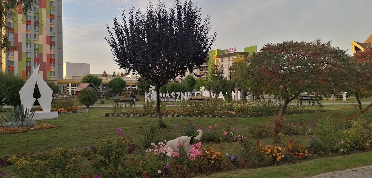 Covasna