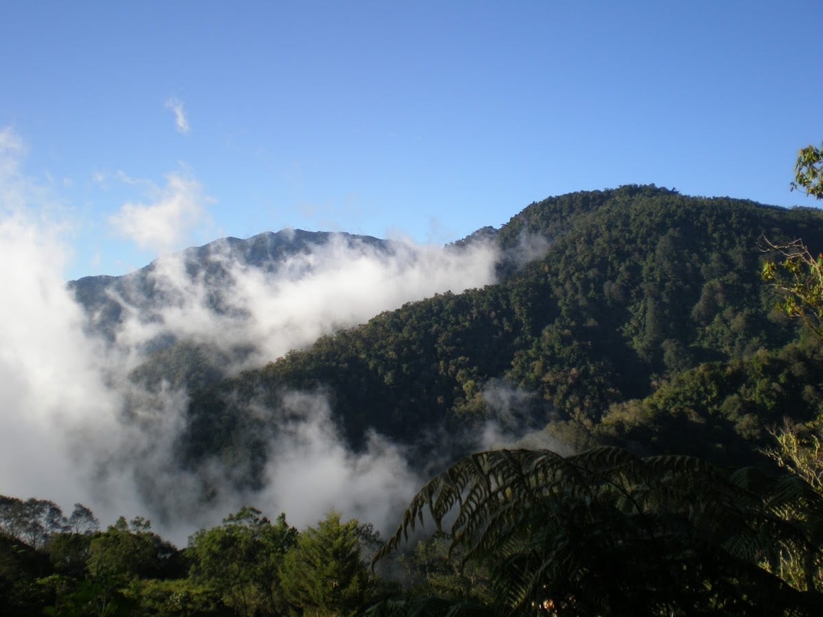 Cerro de la Muerte