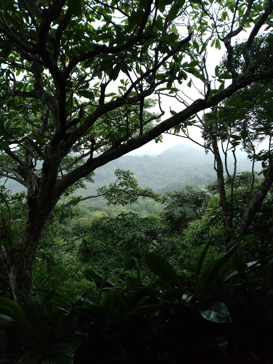 Mirador Los Mandarinos