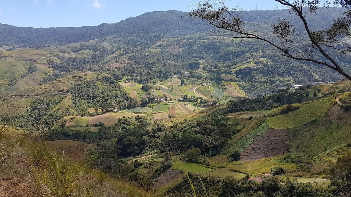Petaquire