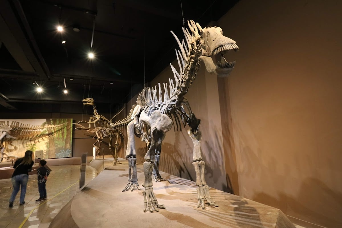 Museu de Ciências Naturais PUC Minas