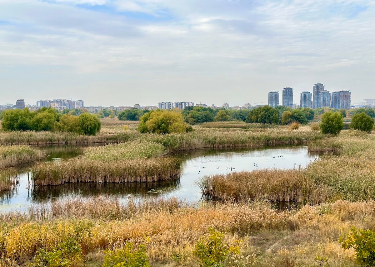 Parcul Natural Văcărești