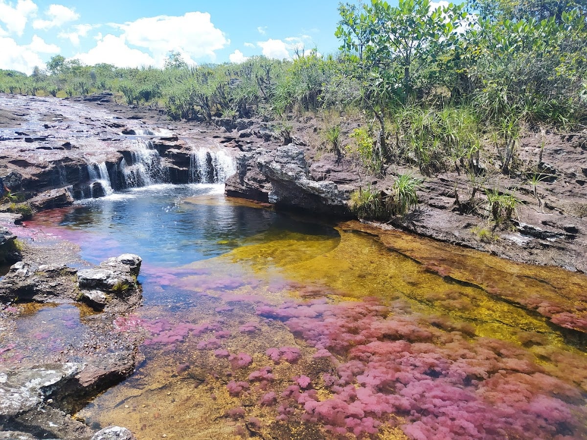 Caño Cristales