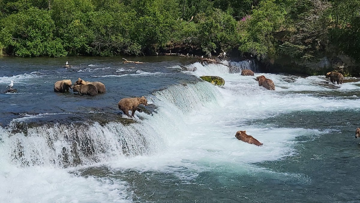 Katmai National Park