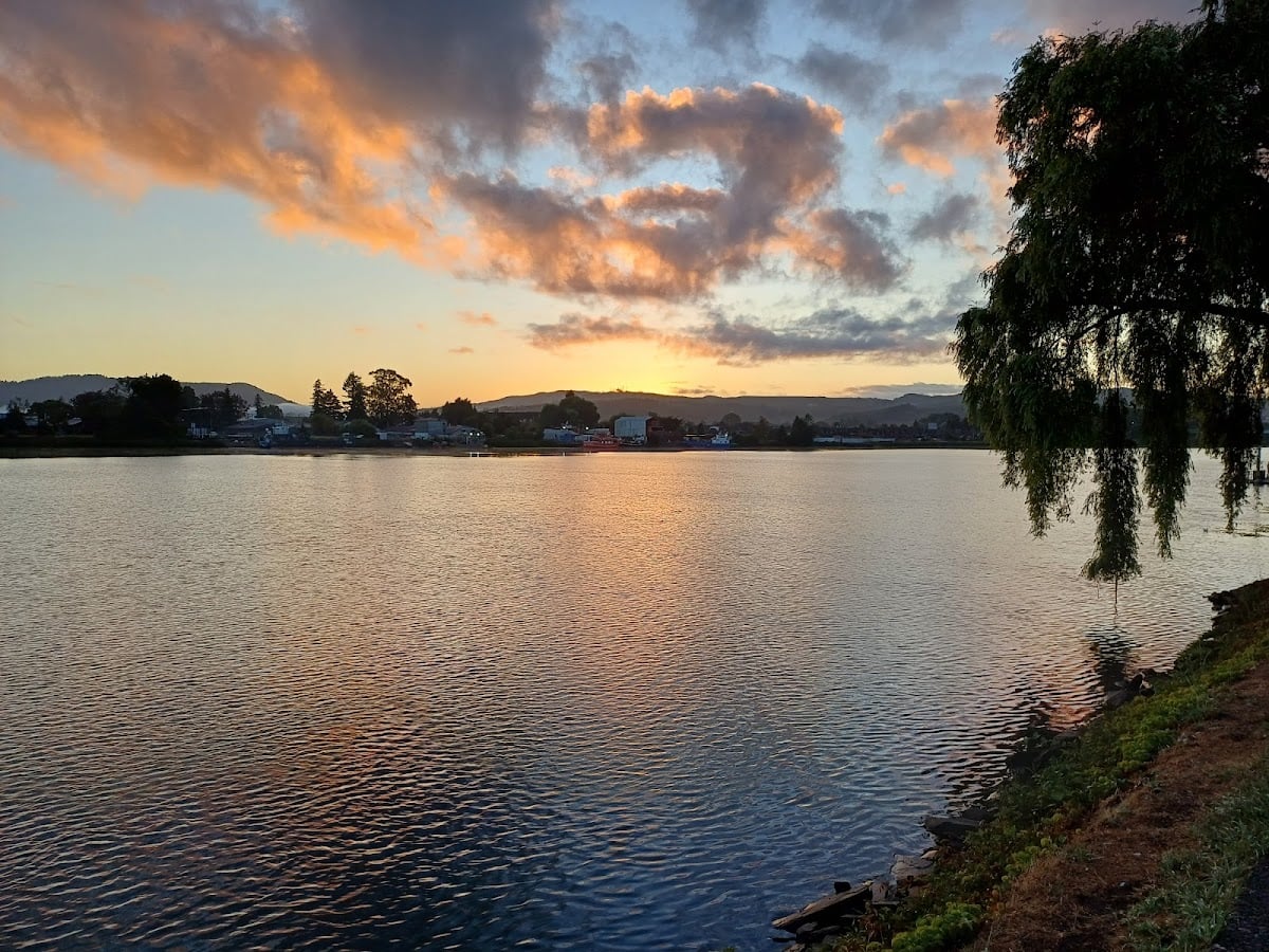 Costanera Valdivia
