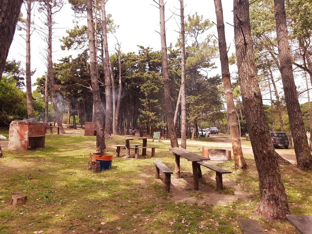 El Vivero - bosque