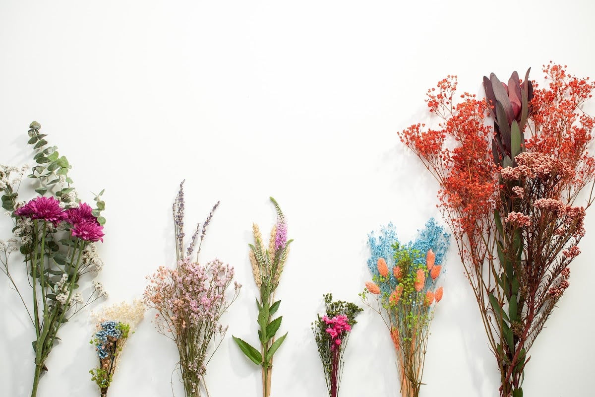 Catarina Sampaio Soares - Flower Design