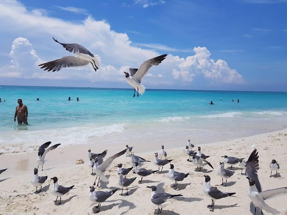 Bahamas Islands 