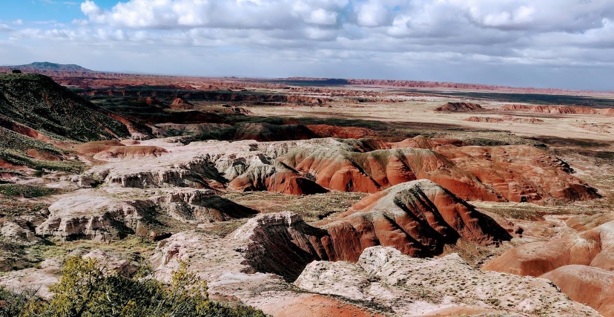 Petrified Forest National Park