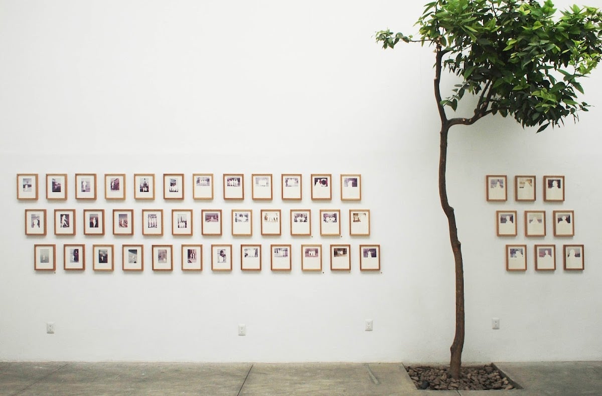 Patricia Conde Galería