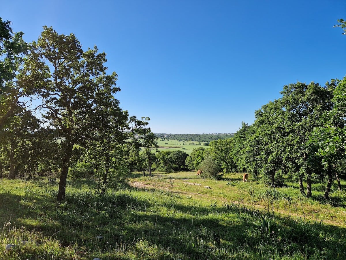 Bosco Calmerio (Masseria Calmerio Canale di Pirro)