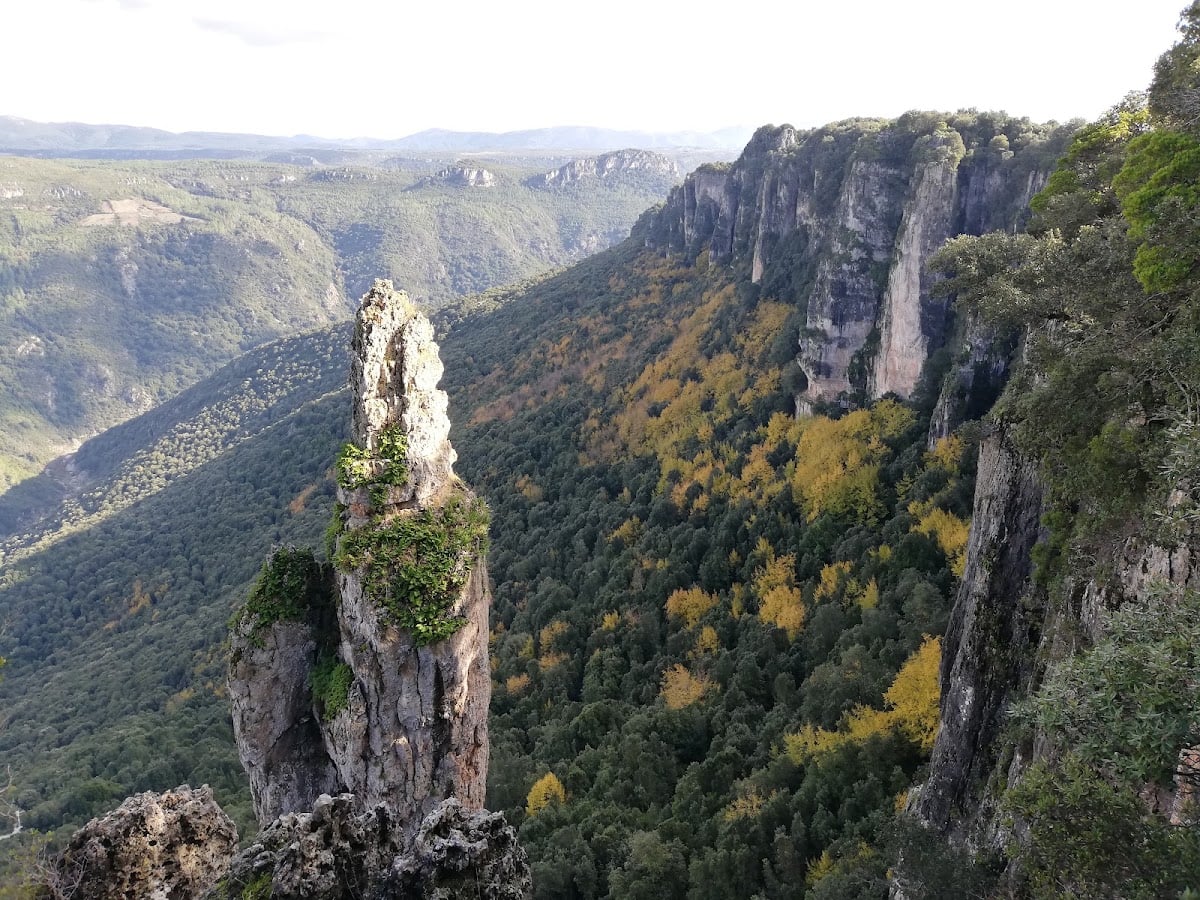 Complesso Forestale di Corongia