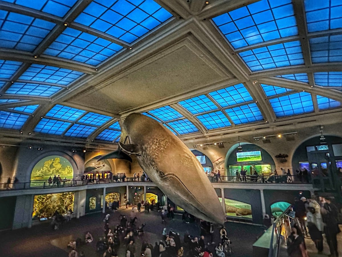 American Museum of Natural History