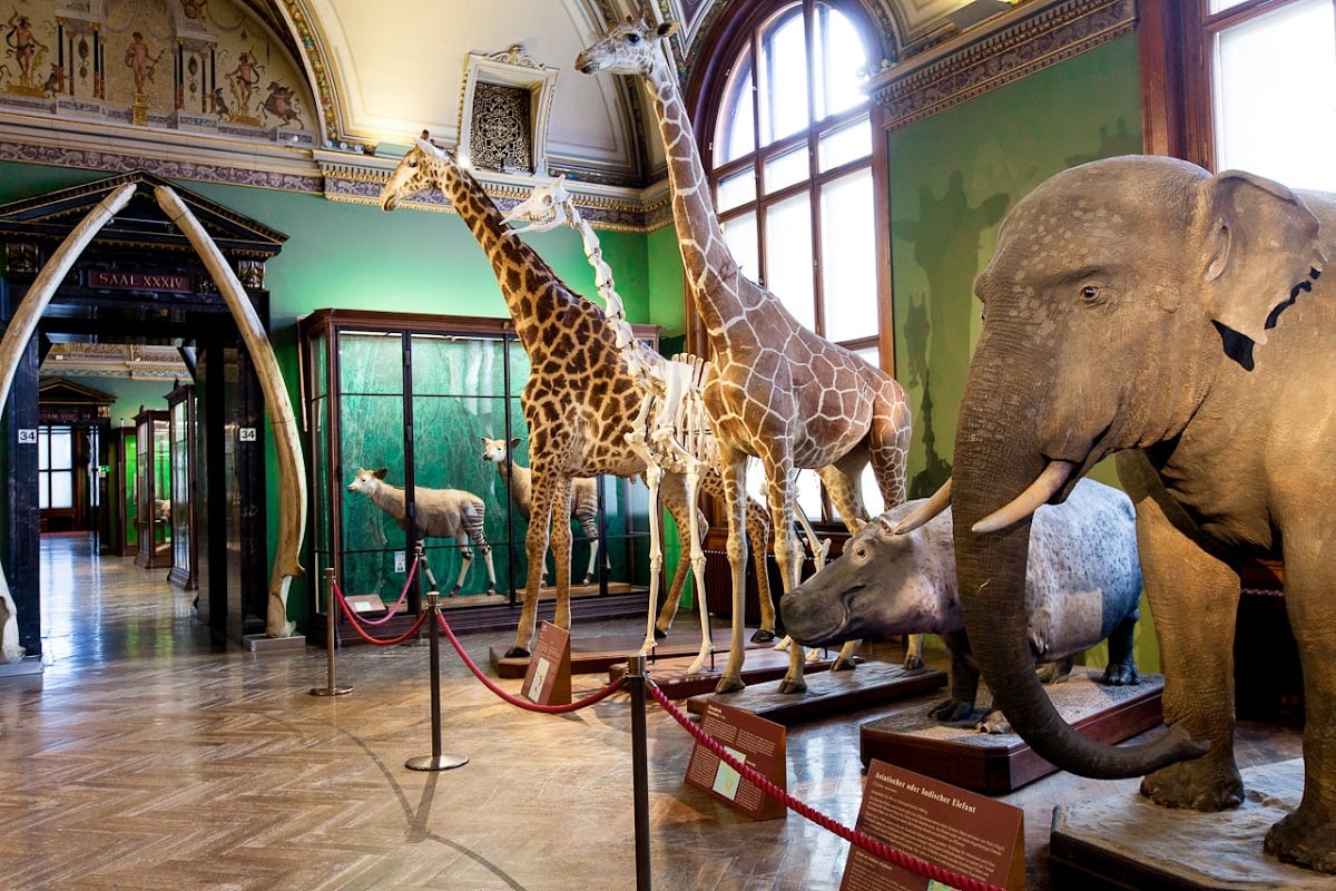 Natural History Museum