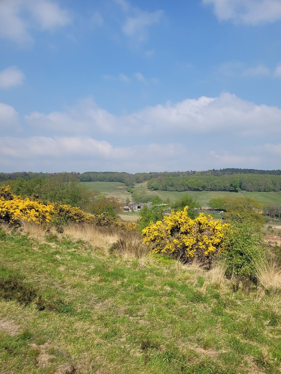 Hundred Acre Wood