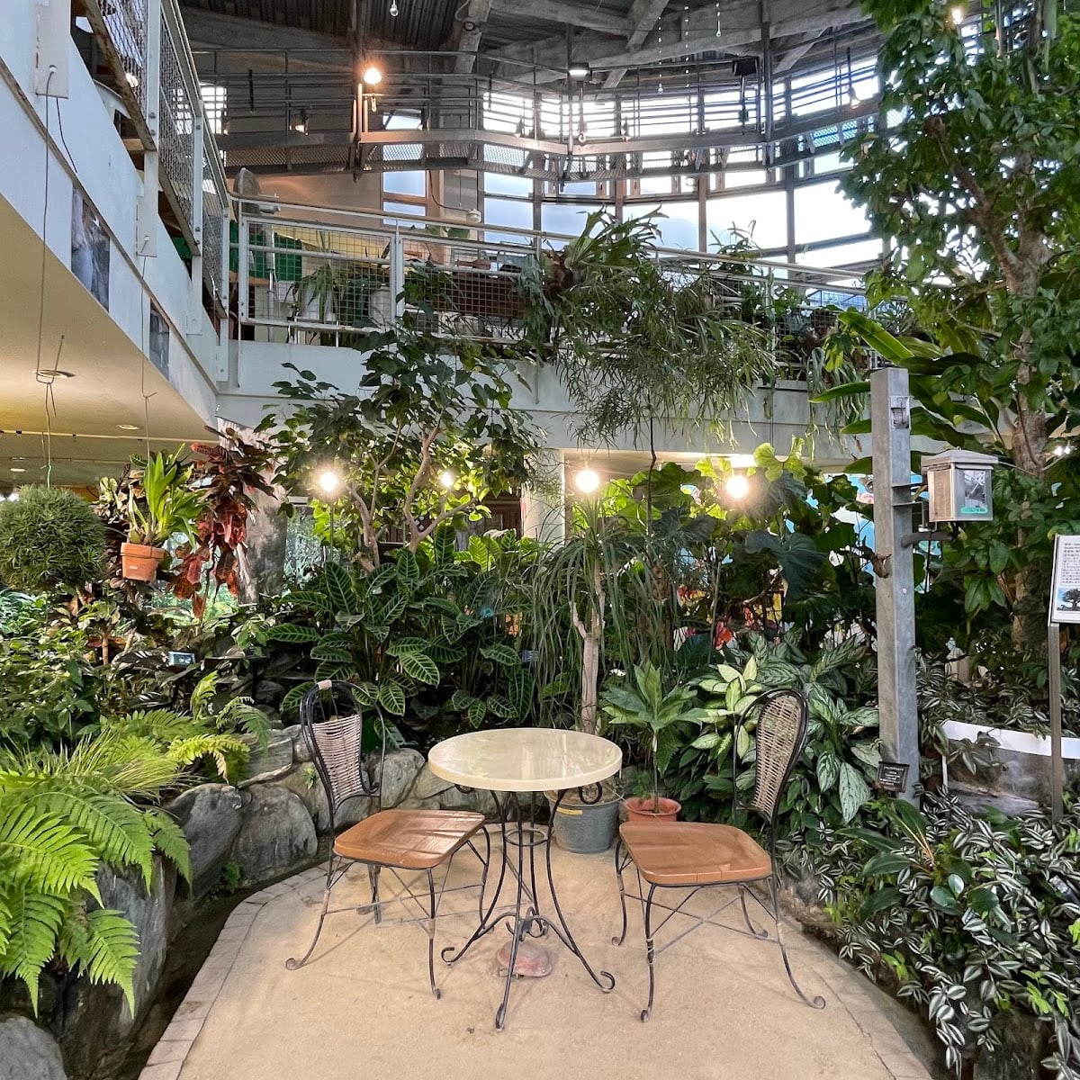 渋谷区ふれあい植物センター - 東京渋谷