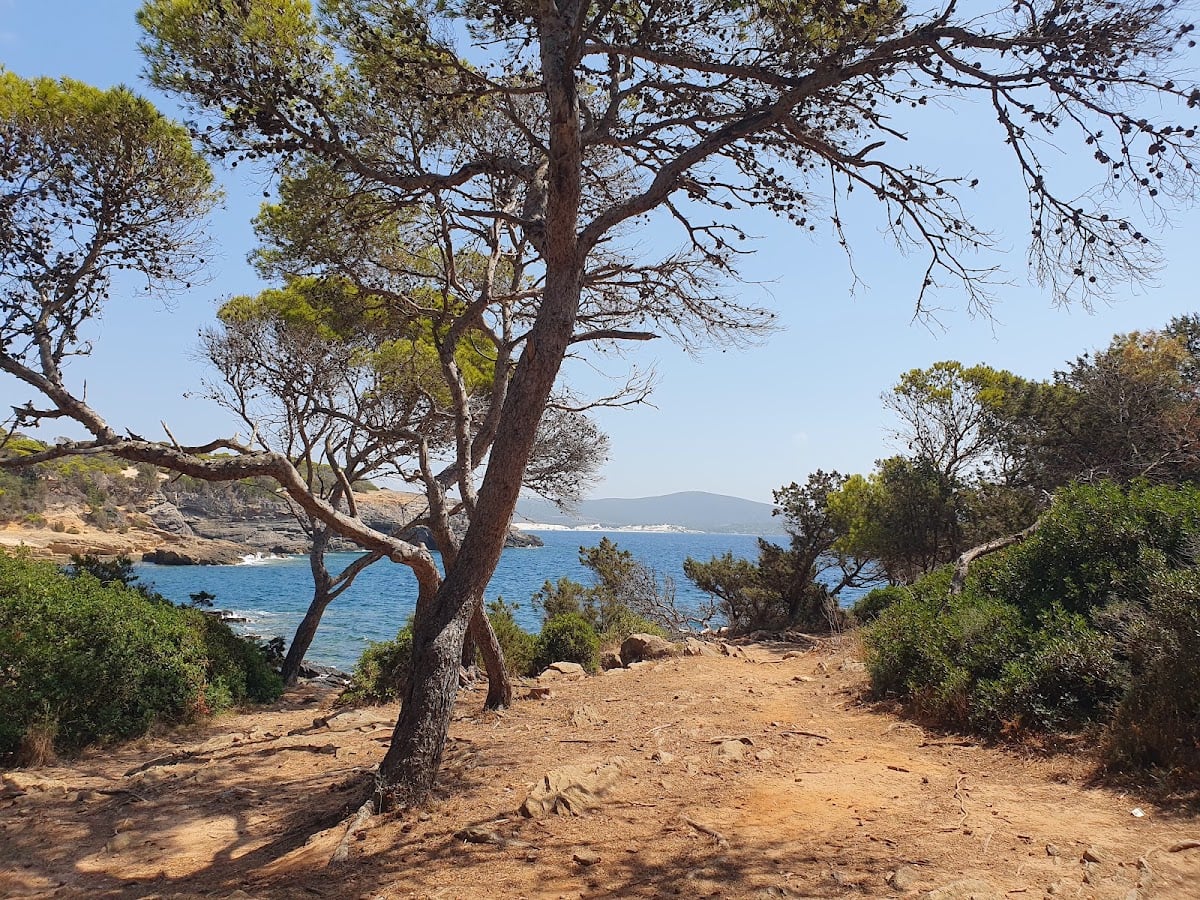 Pineta di Candiani