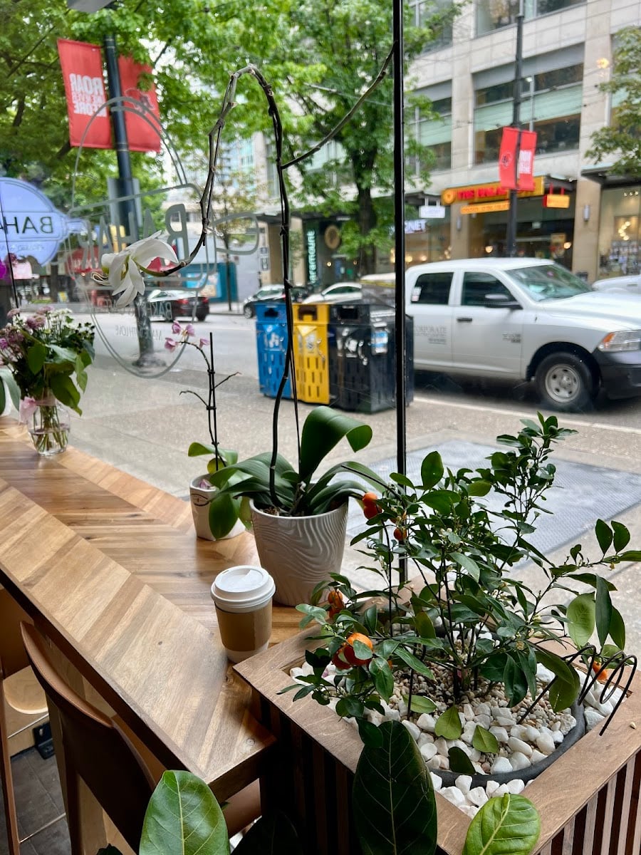 Bahar Bakery & Cafe