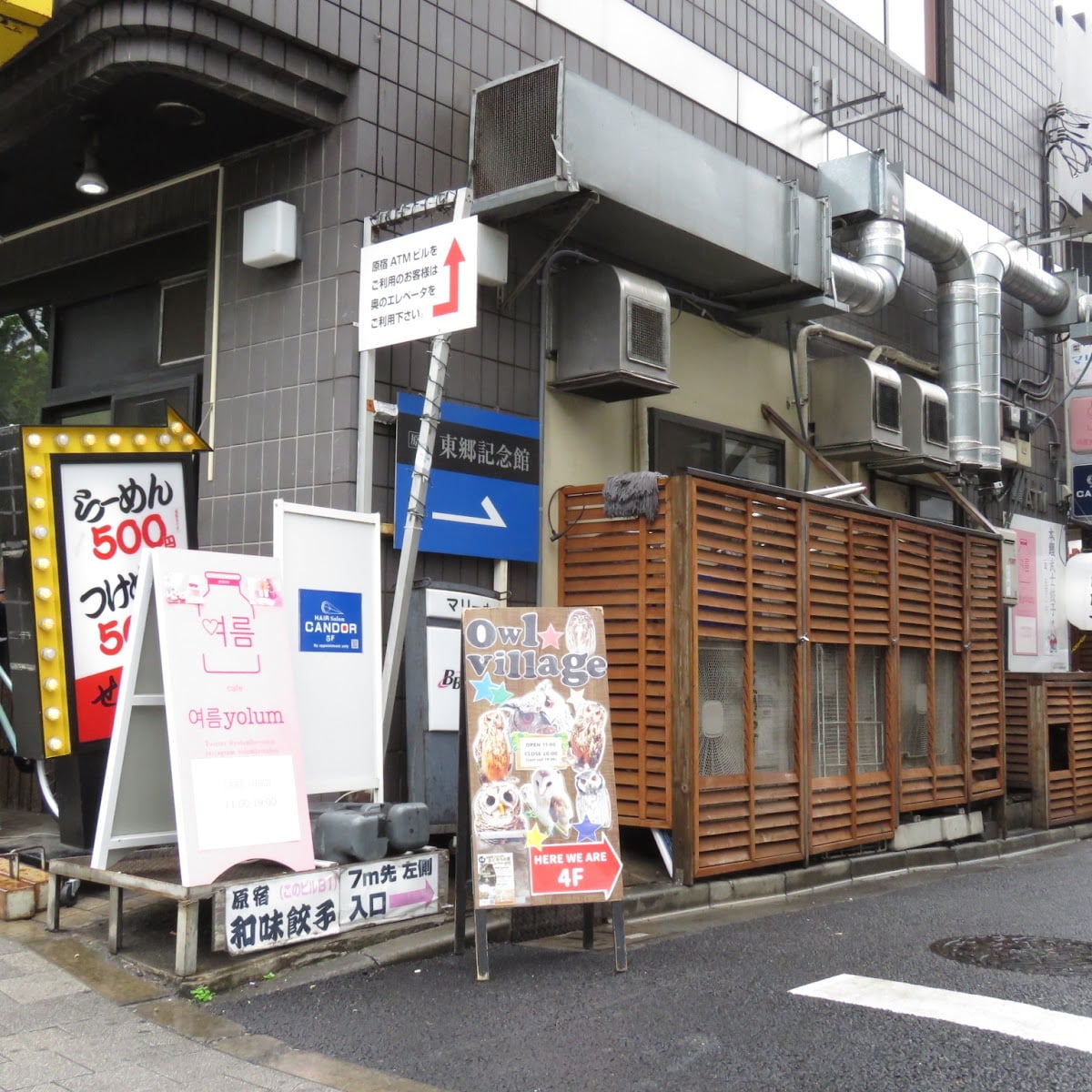 Owl Village Cafe Harajuku - Cafe com coruja 🇯🇵