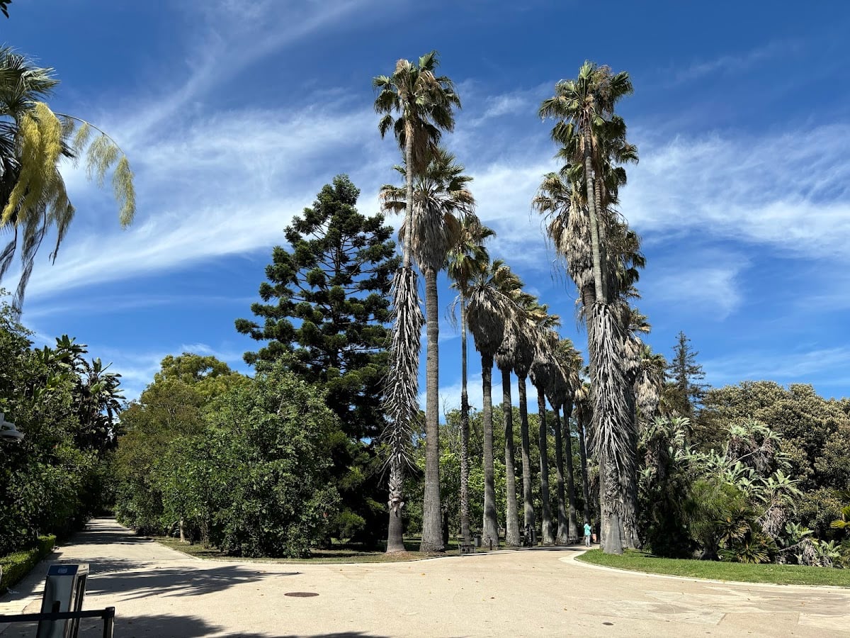 Tropical Botanical Garden