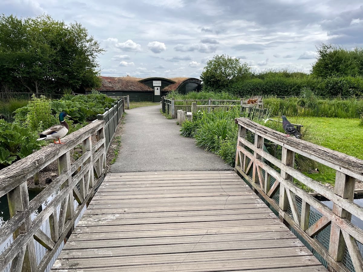 London Wetland Centre