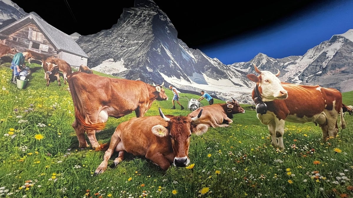 Swiss Chocolate Adventure - Lucerna