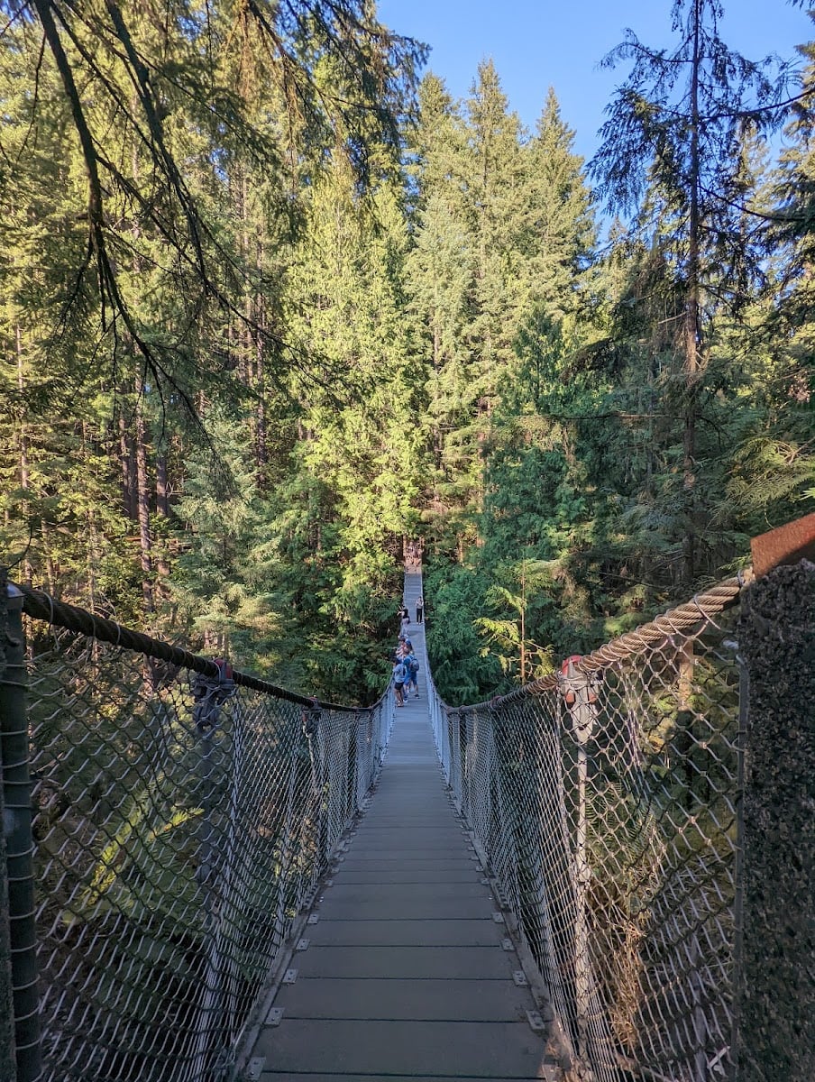 Lynn Canyon Suspension Bridge
