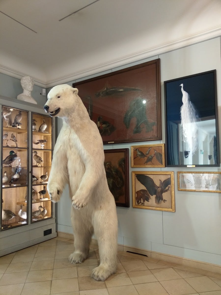 Musée de la Chasse et de la Nature