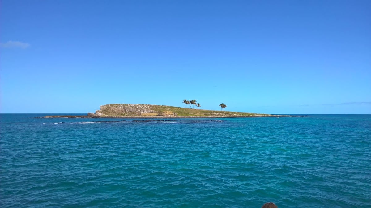 Abrolhos - Live aboard de tres días. De preferência em julho