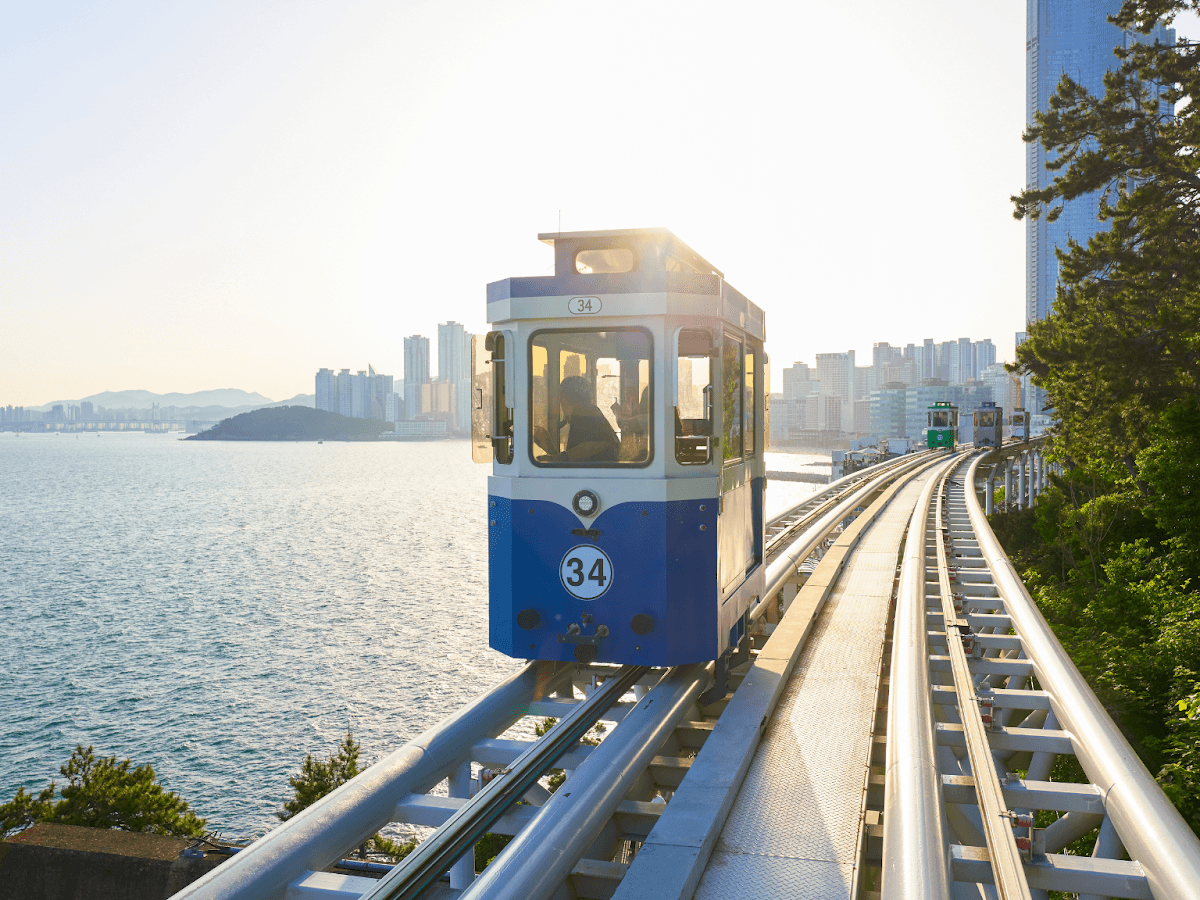 Sky Capsule & Beach Train