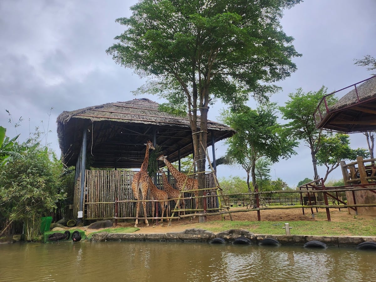 Vinpearl land Nam Hội An - Đại lý Bình Minh