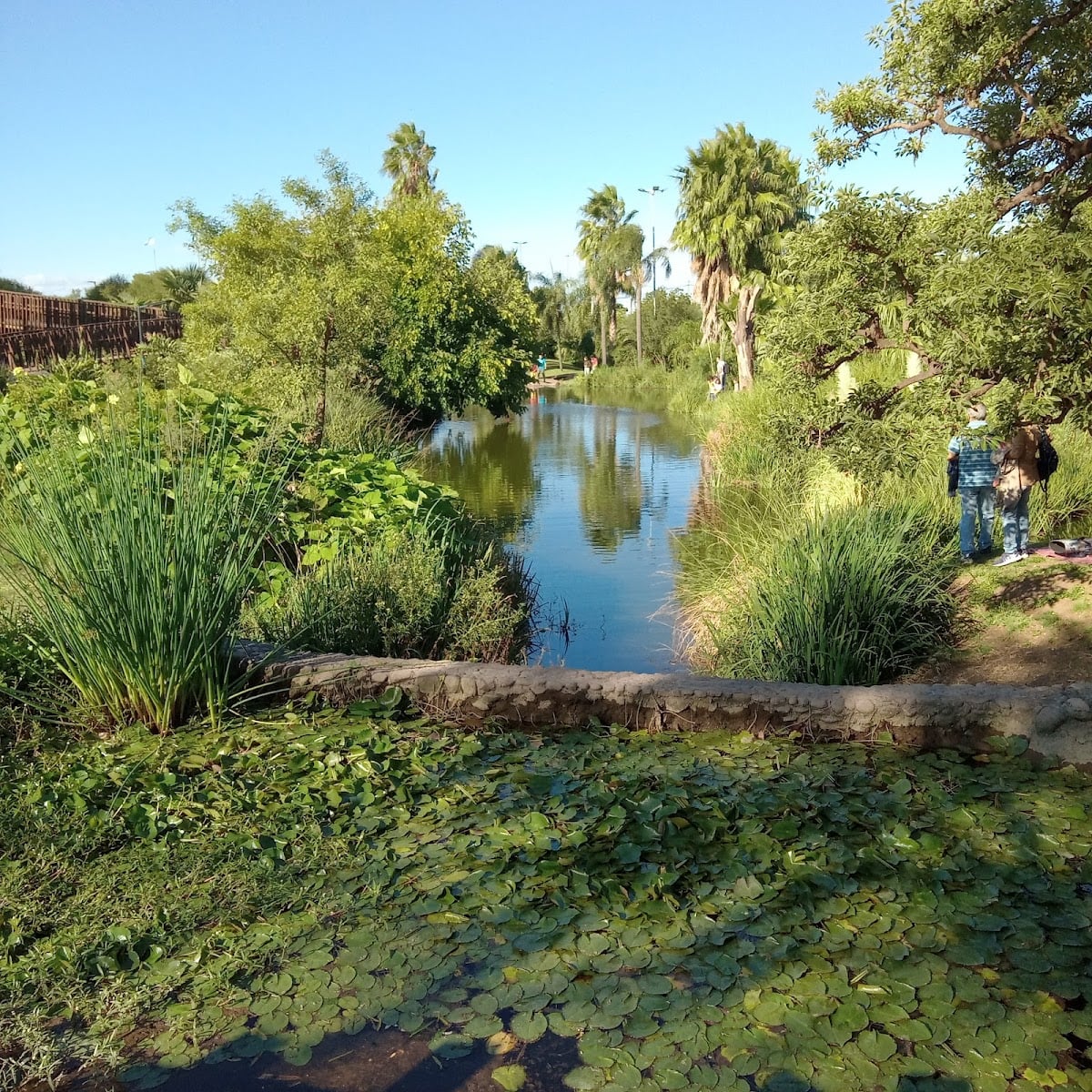 Jardín Botánico de Córdoba