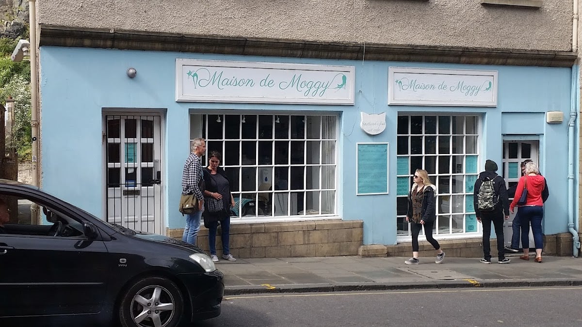 Maison de Moggy - cat cafe