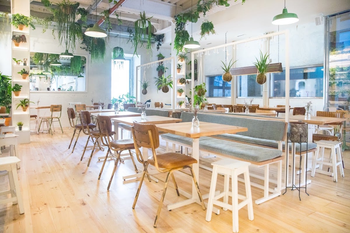 Fauna & Flora - Chiado