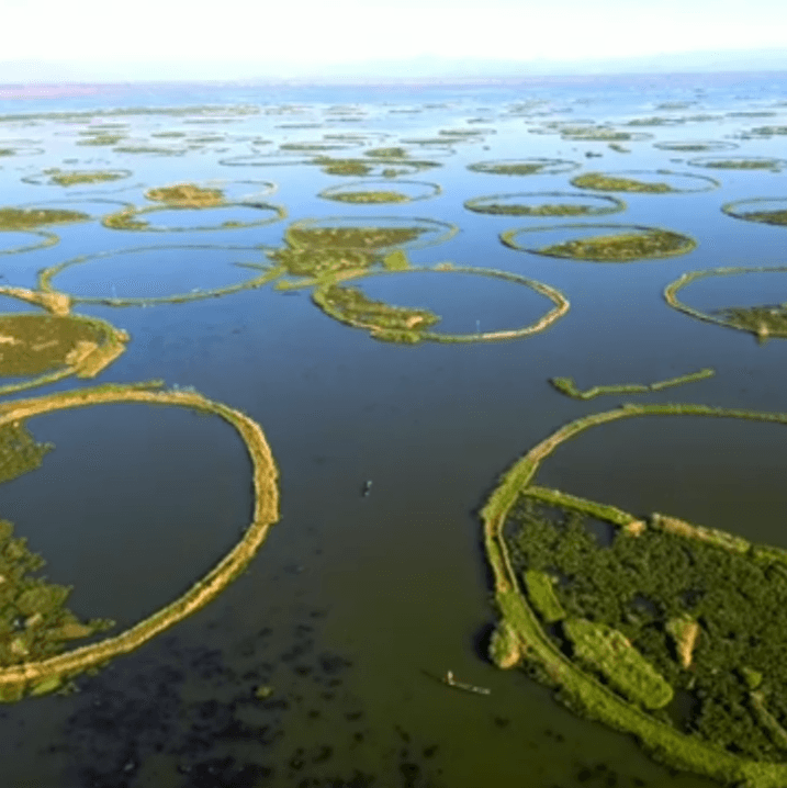 Loktak Lake - Phumdis