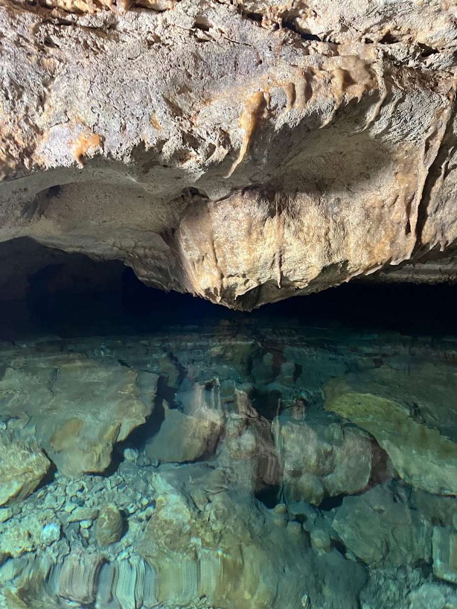 Cenote El Pocito