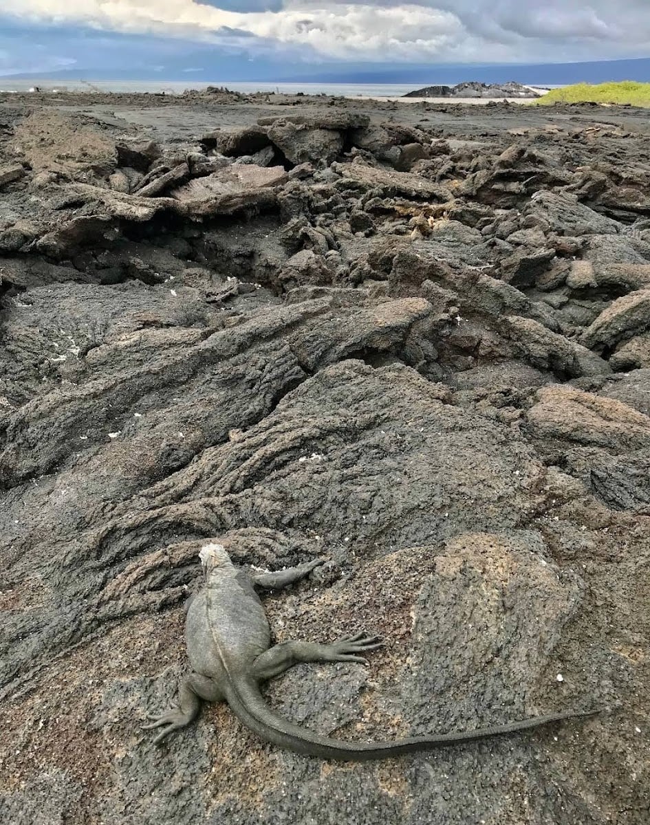 Galapagos Island