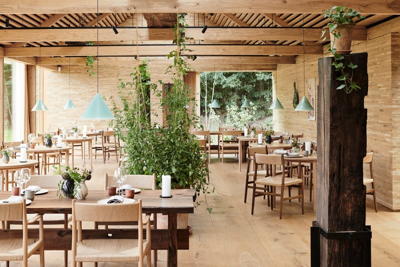 Noma