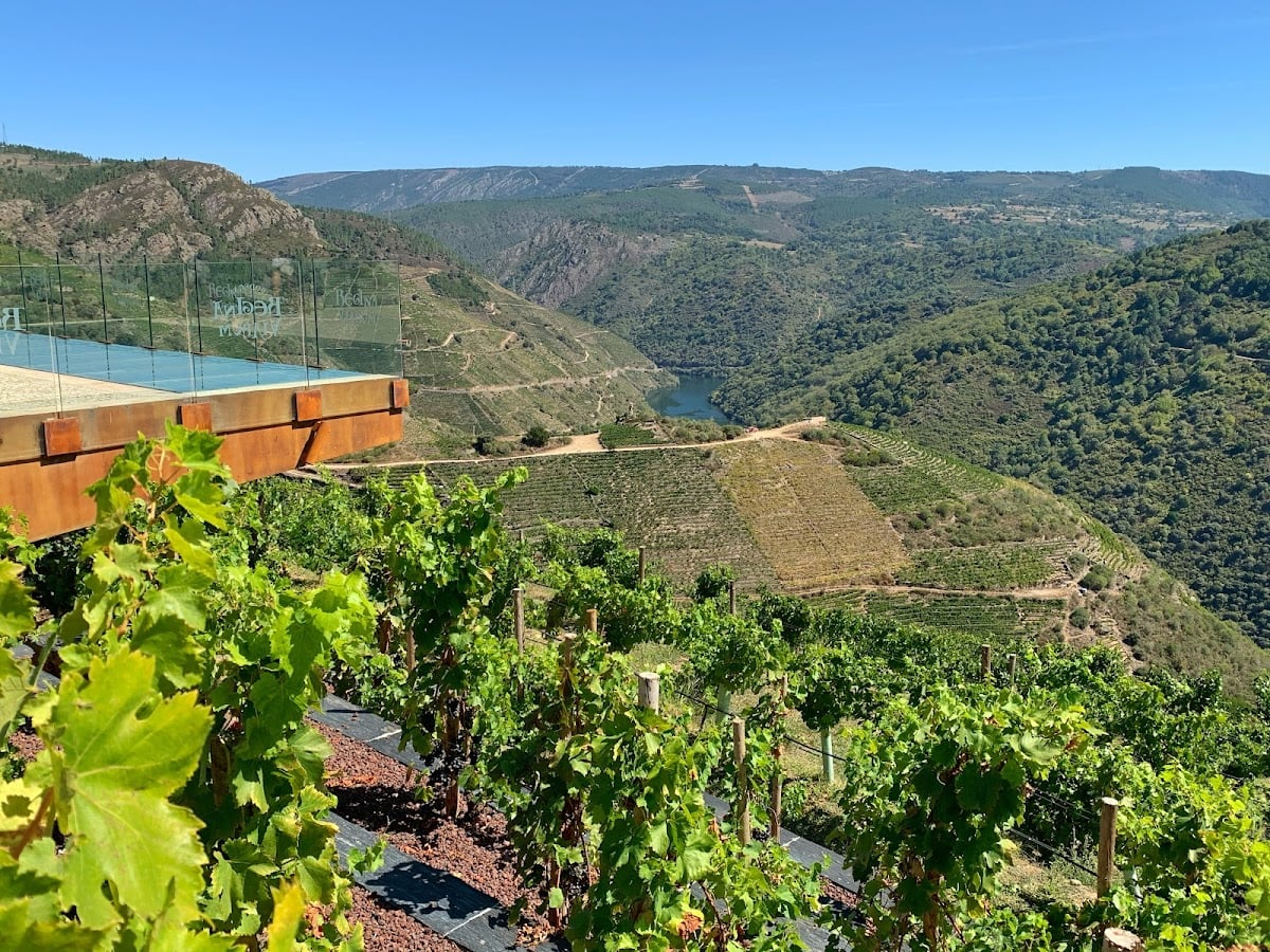 Bodegas Regina Viarum