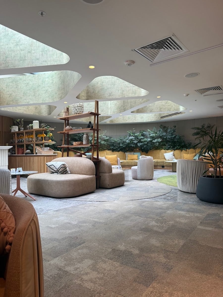Derba Matcha Café