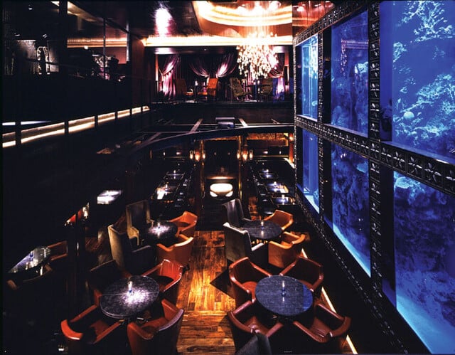 AQUA RESTAURANT ＆ BAR LUXIS（ラグシス） - 東京〈渋谷〉