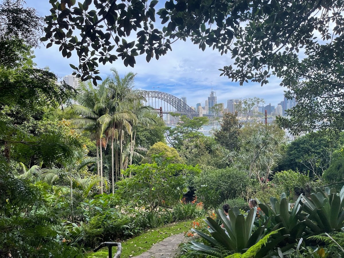 Wendy Whiteley's Secret Garden
