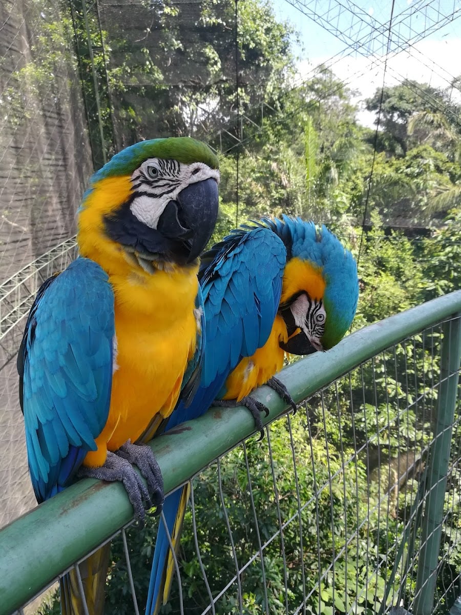 Biocentro Guembe Mariposario
