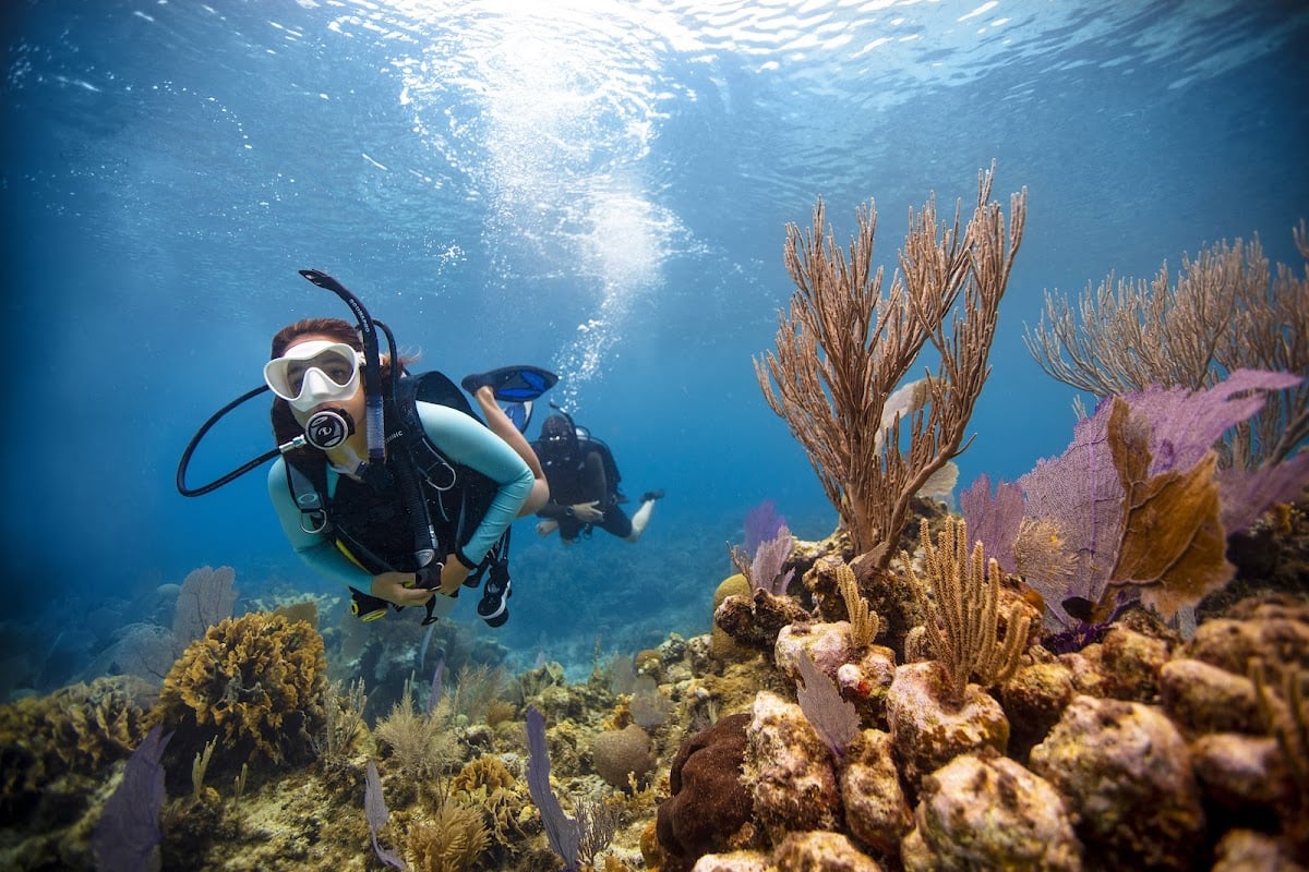 Barcelona Diving Club - Bautizo de Buceo