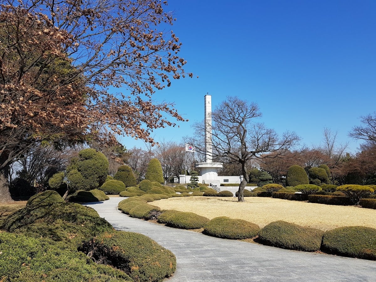 Subong park - Cherryblossom
