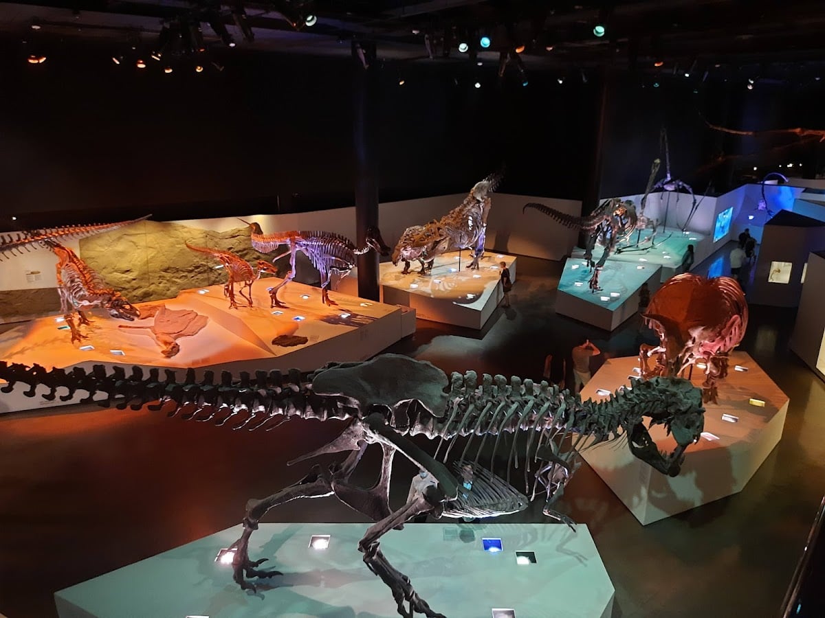 Houston Museum of Natural Science