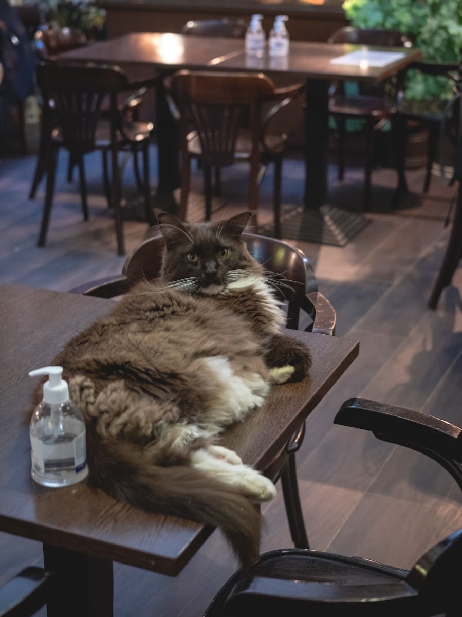 Zoo Café