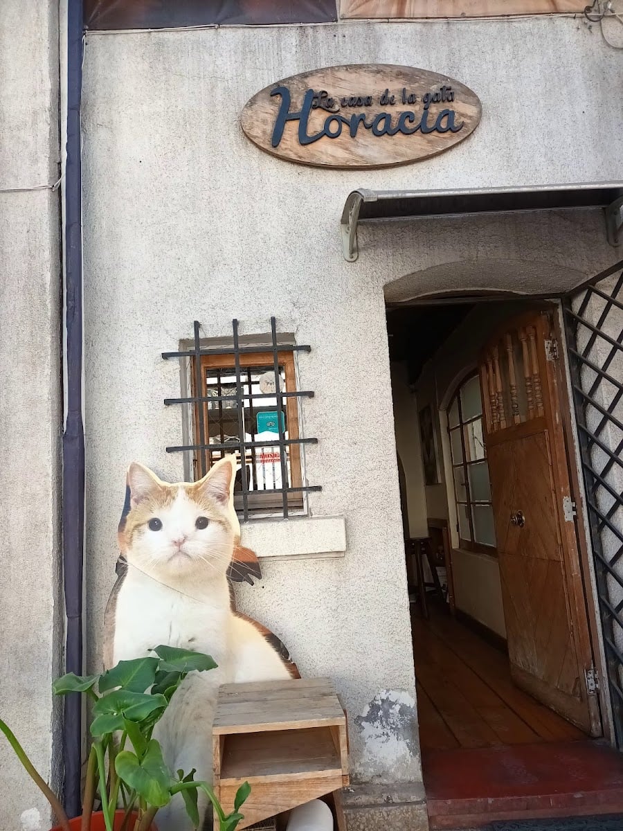 La Casa De La Gata Horacia