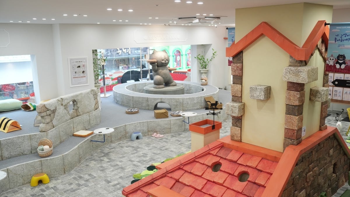 Roof Cat Me Myeongdong